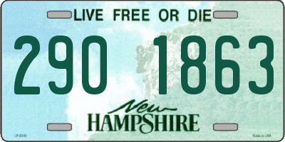 NH license plate 2901863