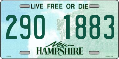 NH license plate 2901883