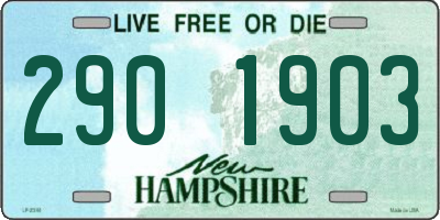 NH license plate 2901903