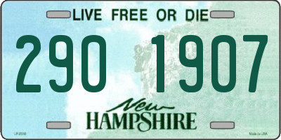 NH license plate 2901907