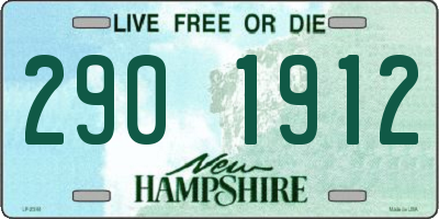 NH license plate 2901912