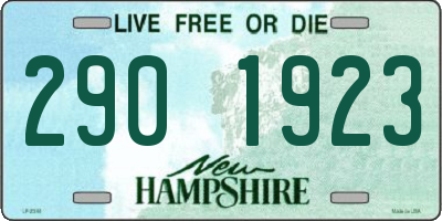NH license plate 2901923