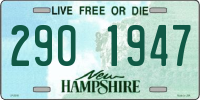 NH license plate 2901947