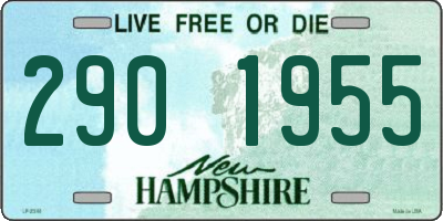 NH license plate 2901955