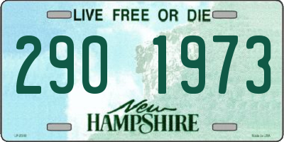 NH license plate 2901973