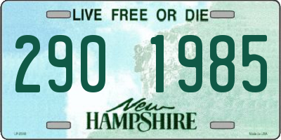 NH license plate 2901985