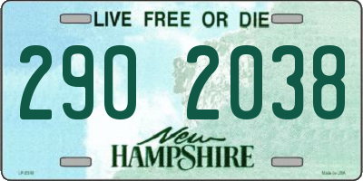 NH license plate 2902038
