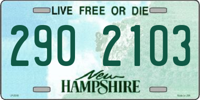 NH license plate 2902103