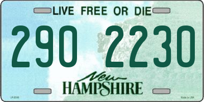 NH license plate 2902230