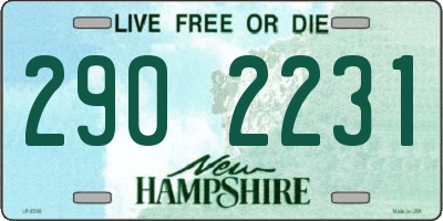 NH license plate 2902231