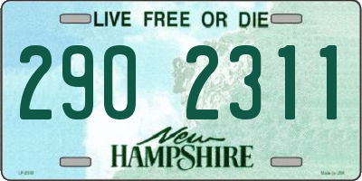 NH license plate 2902311