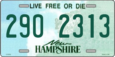 NH license plate 2902313