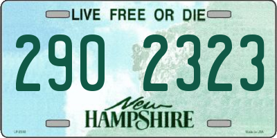 NH license plate 2902323