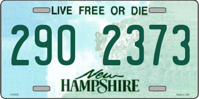 NH license plate 2902373