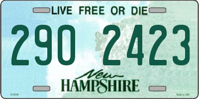 NH license plate 2902423