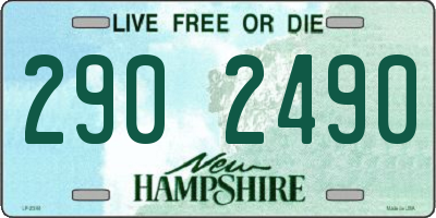 NH license plate 2902490