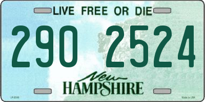NH license plate 2902524