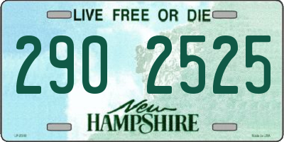 NH license plate 2902525