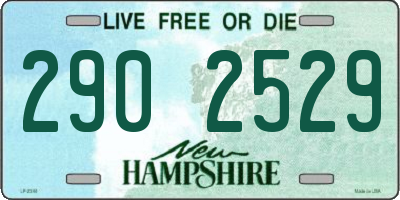 NH license plate 2902529
