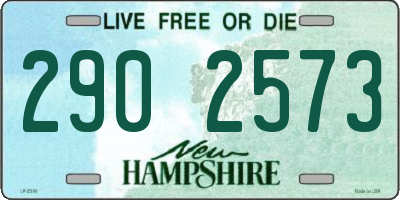 NH license plate 2902573