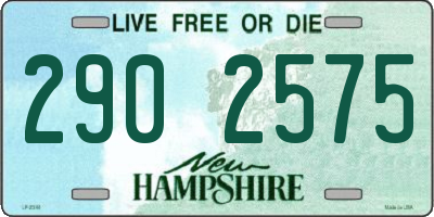 NH license plate 2902575