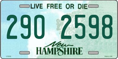NH license plate 2902598