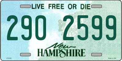 NH license plate 2902599