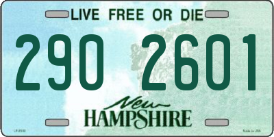 NH license plate 2902601