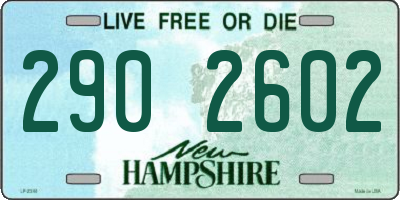 NH license plate 2902602