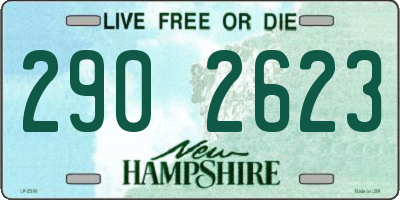 NH license plate 2902623