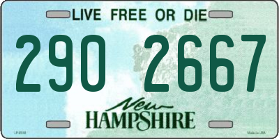 NH license plate 2902667