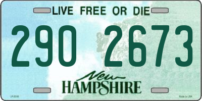 NH license plate 2902673