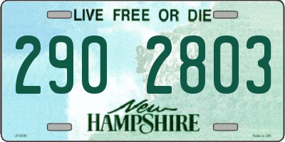 NH license plate 2902803