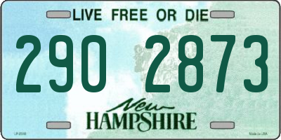 NH license plate 2902873