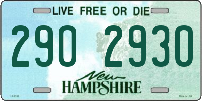 NH license plate 2902930