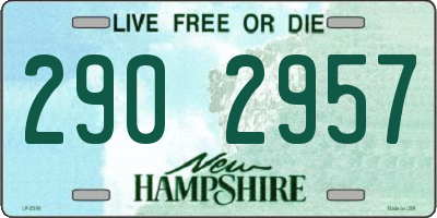 NH license plate 2902957