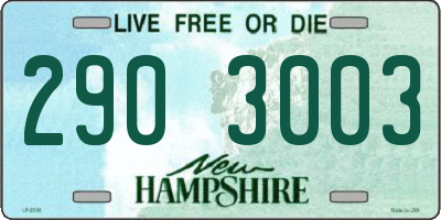 NH license plate 2903003