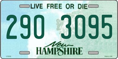 NH license plate 2903095