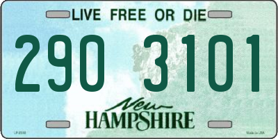 NH license plate 2903101