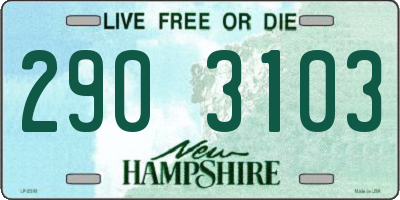 NH license plate 2903103