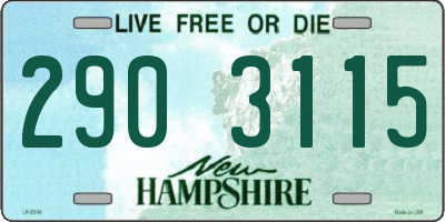NH license plate 2903115