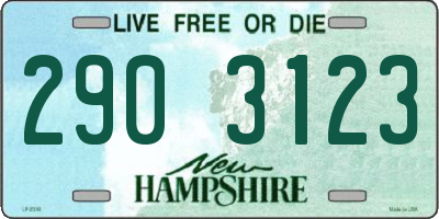 NH license plate 2903123