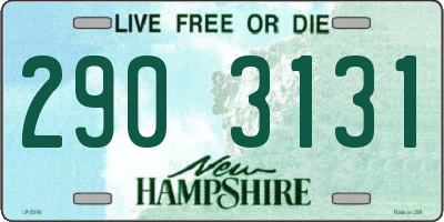 NH license plate 2903131