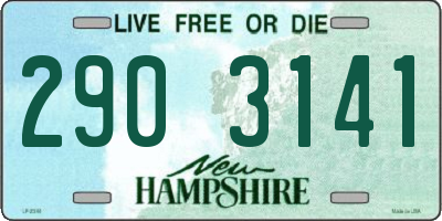 NH license plate 2903141