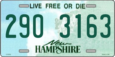NH license plate 2903163
