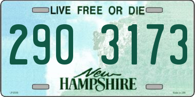 NH license plate 2903173