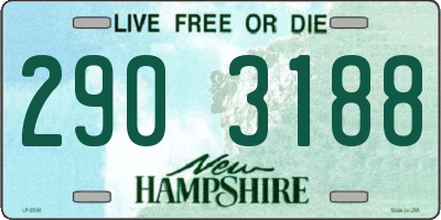 NH license plate 2903188