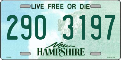 NH license plate 2903197