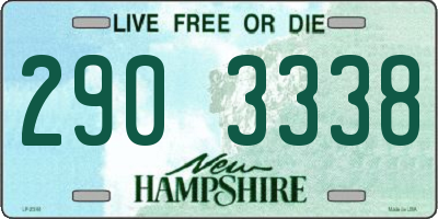 NH license plate 2903338
