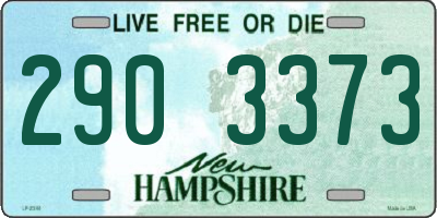 NH license plate 2903373